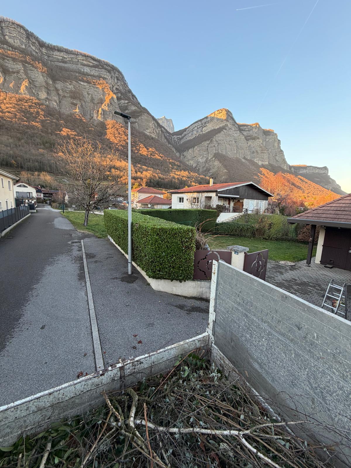Élagage et démontage d'arbre dangereux à Vizille